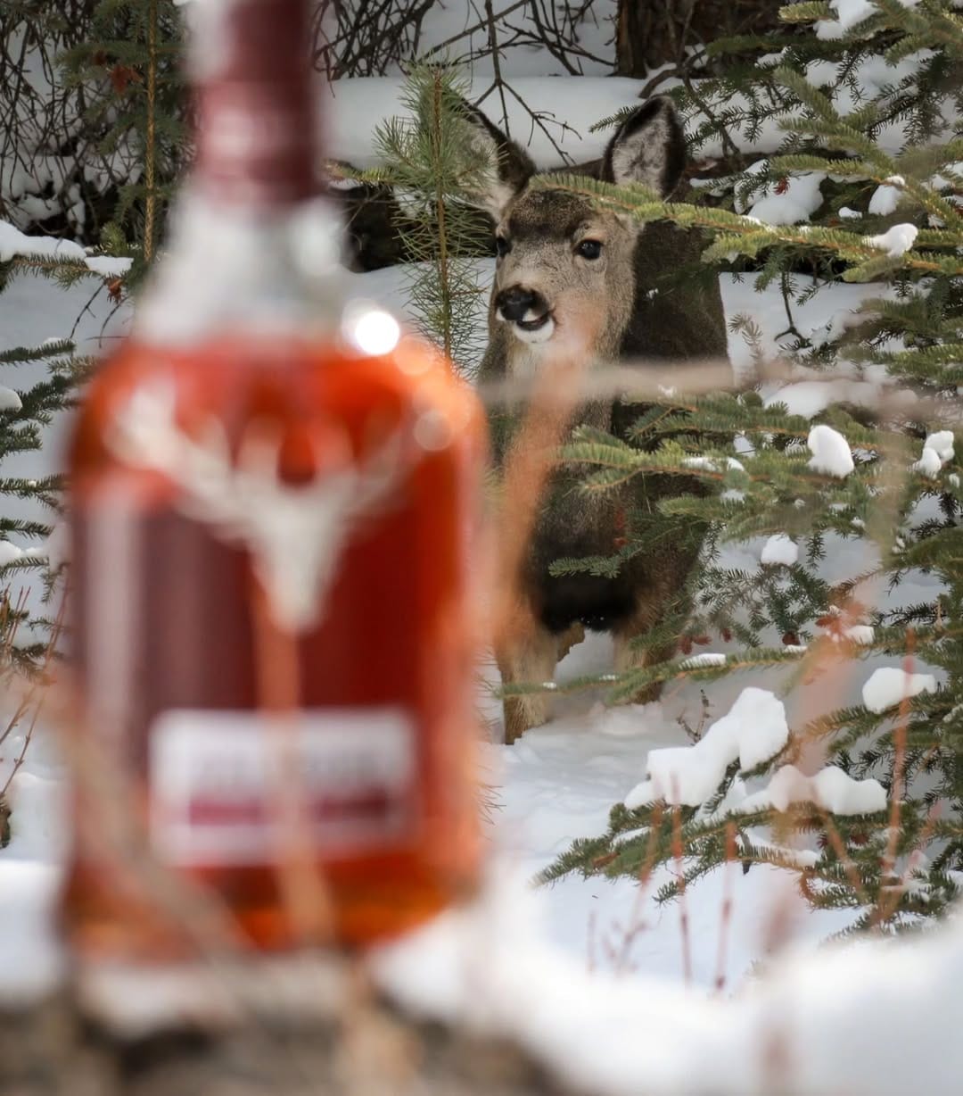 Post 10 by Banff Whisky Experience on Instagram (image)