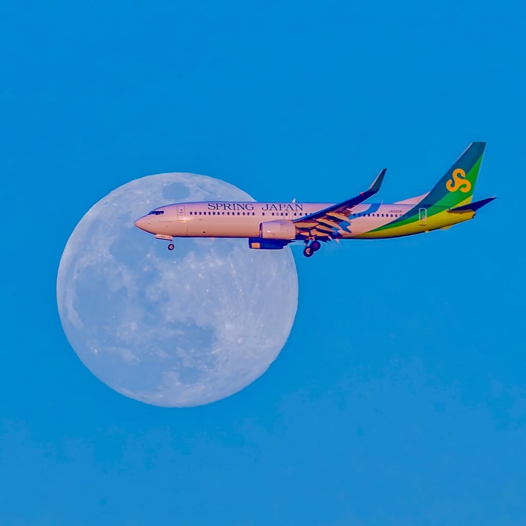 Post 3 by 宮川大志 | 鳥取写真家✈︎Daishi Miyagawa✈︎ #青組写真家隊 on Instagram (image)