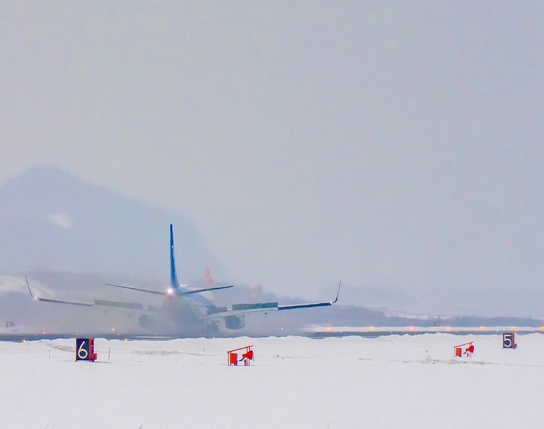 Post 5 by 宮川大志 | 鳥取写真家✈︎Daishi Miyagawa✈︎ #青組写真家隊 on Instagram (image)