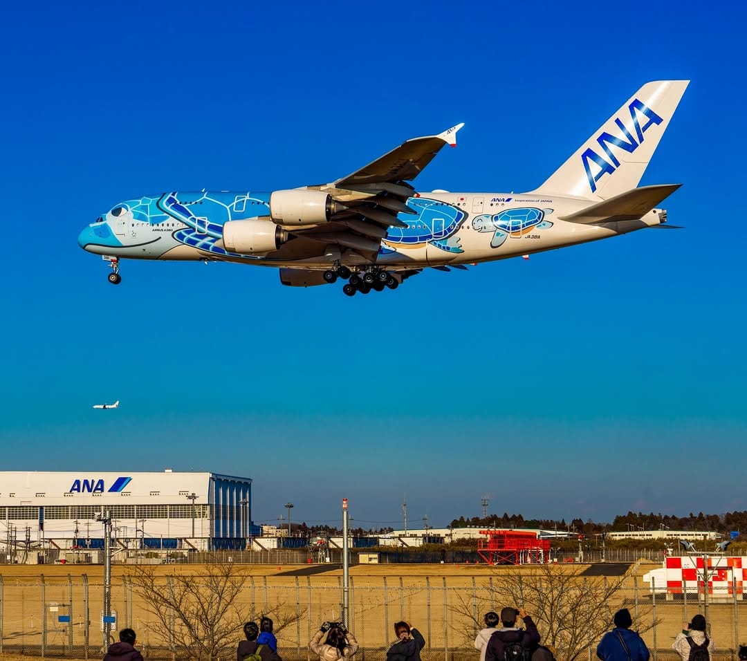 Post 2 by 宮川大志 | 鳥取写真家✈︎Daishi Miyagawa✈︎ #青組写真家隊 on Instagram (image)