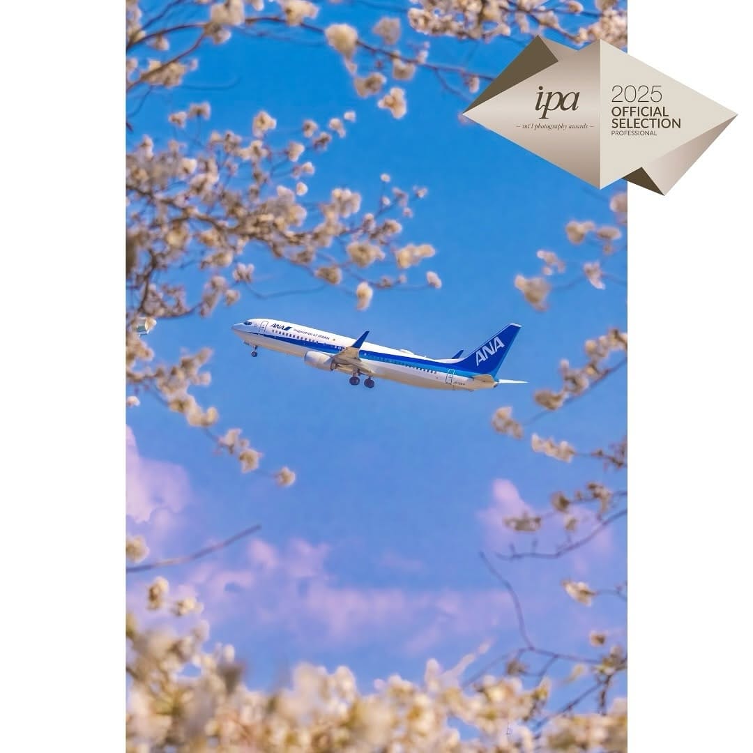 Post 10 by 宮川大志 | 鳥取写真家✈︎Daishi Miyagawa✈︎ #青組写真家隊 on Instagram (carousel)