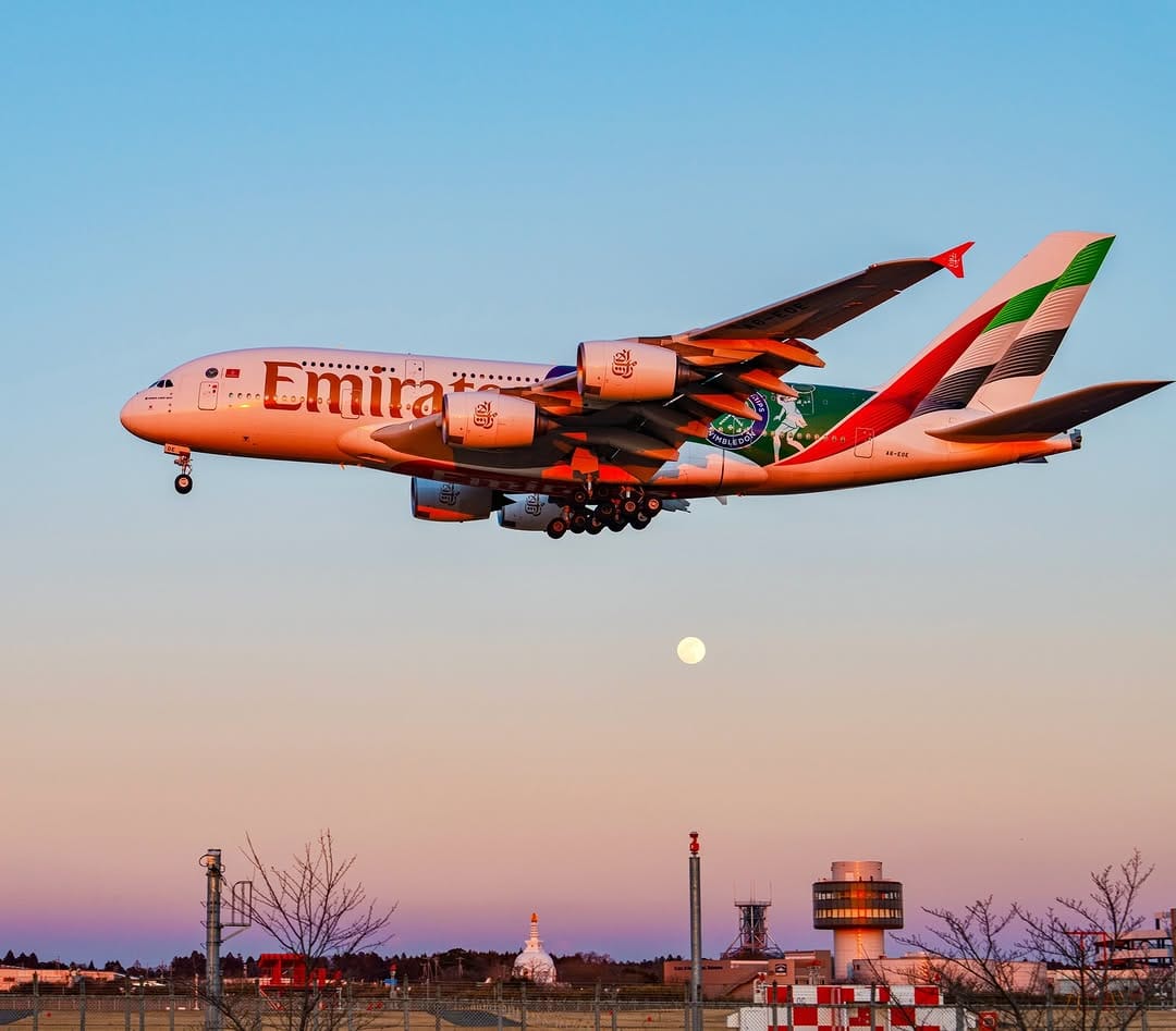 Post 1 by 宮川大志 | 鳥取写真家✈︎Daishi Miyagawa✈︎ #青組写真家隊 on Instagram (carousel)