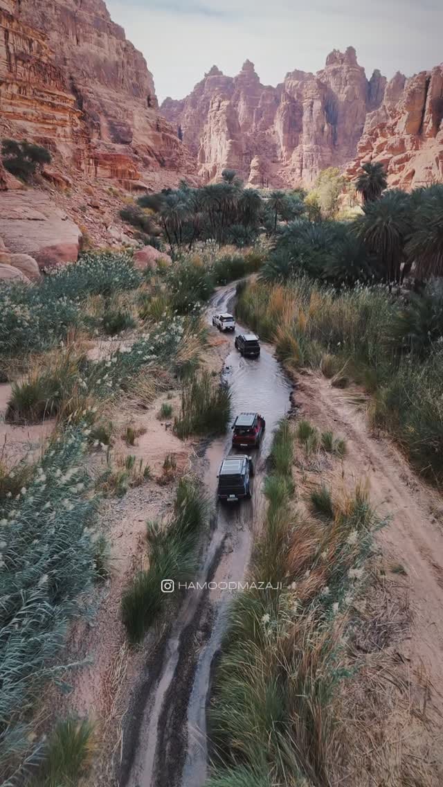 Post 3 by Mohammed Al-Mahboobi on Instagram (video)