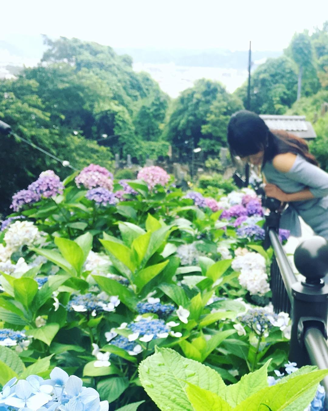 Post 2 by TOMO on Instagram (image)