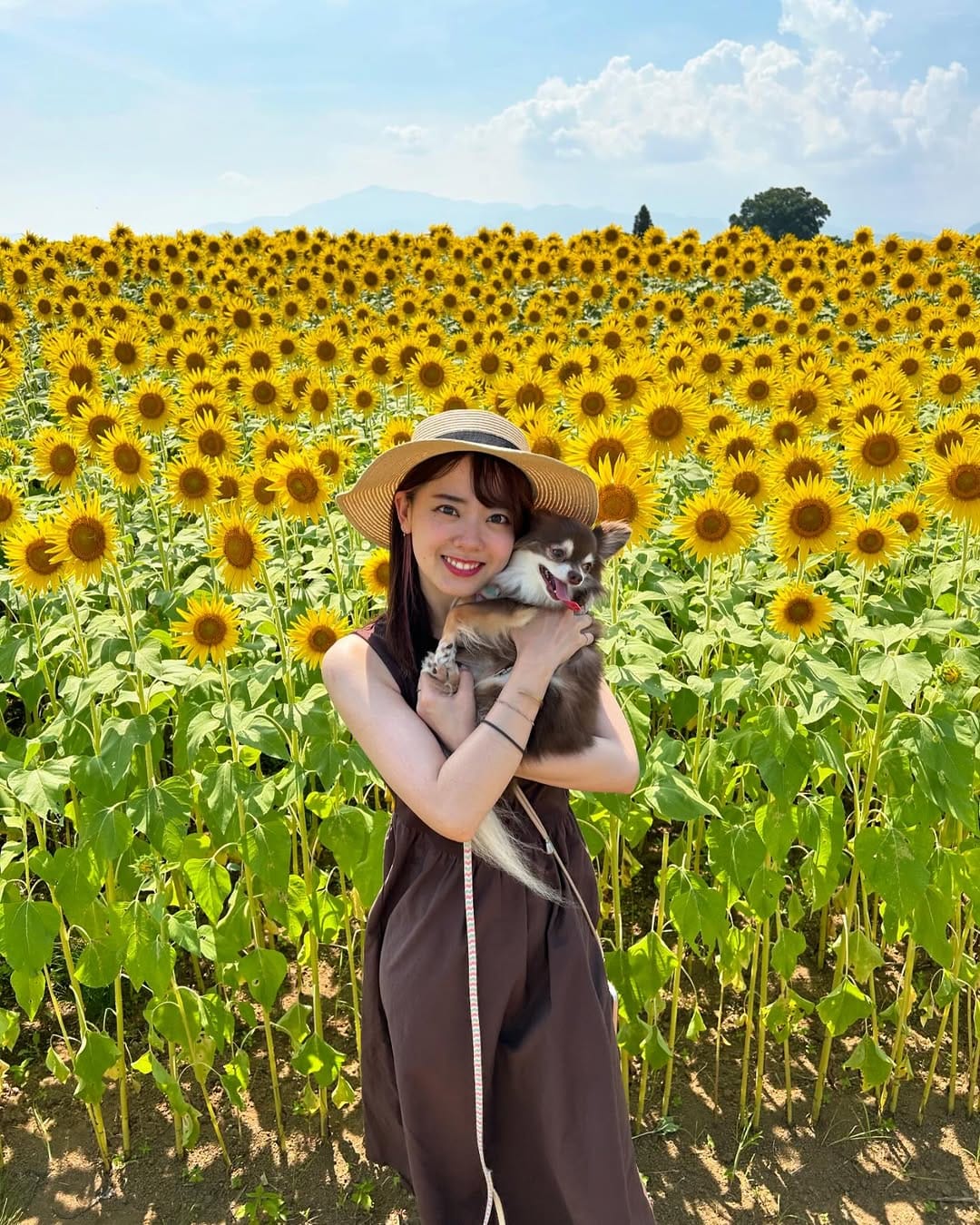 Post 9 by 佐藤彩香(Ayaka Sato) on Instagram (carousel)