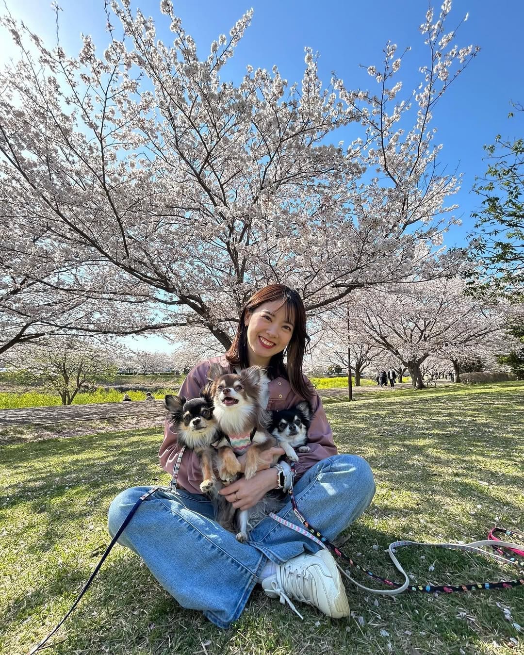 Post 10 by 佐藤彩香(Ayaka Sato) on Instagram (image)
