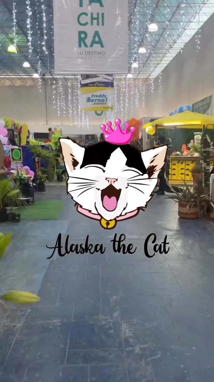 Post 8 by PET SHOP • PECHERAS • GATOS y PERROS on Instagram (video)