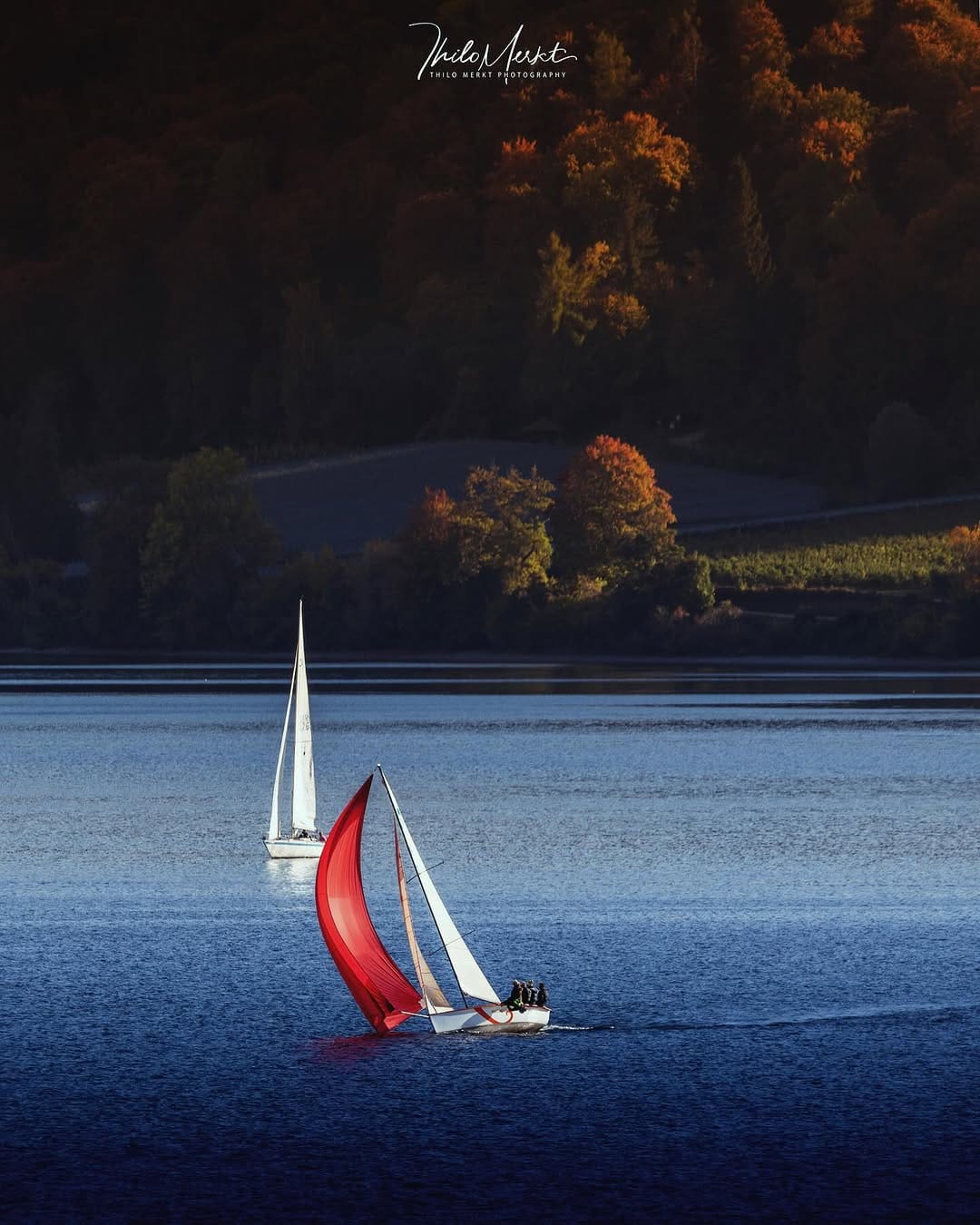 Post 3 by Thilo Merkt  Photography on Instagram (image)