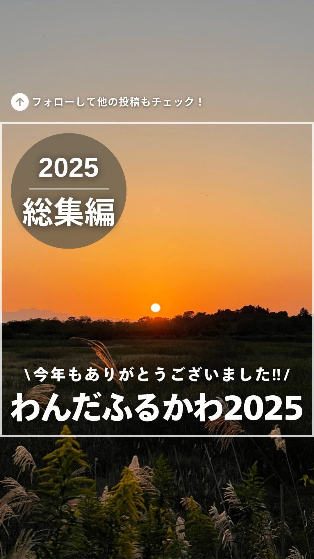 Post 2 by ˗ˏˋ わんだふるかわ🔍ˎˊ˗  宮城県大崎市発信メディア on Instagram (video)