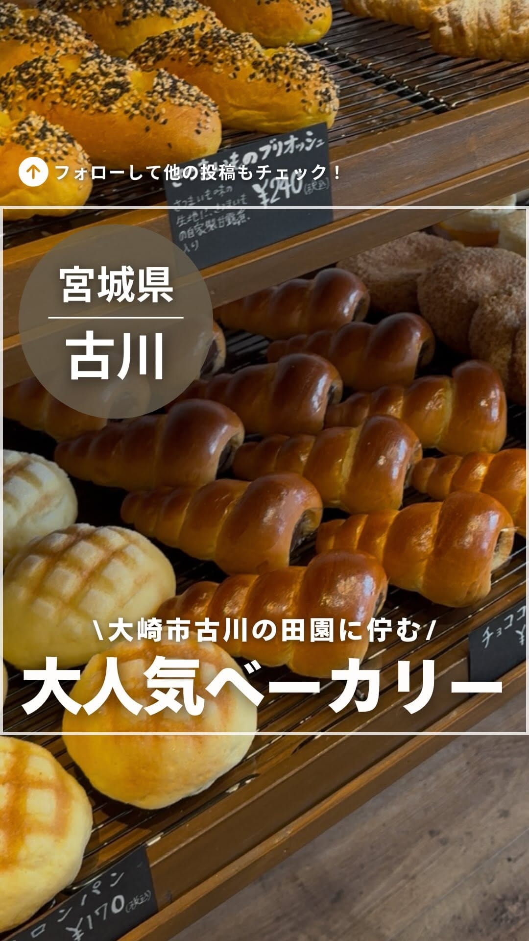 Post 3 by ˗ˏˋ わんだふるかわ🔍ˎˊ˗  宮城県大崎市発信メディア on Instagram (video)