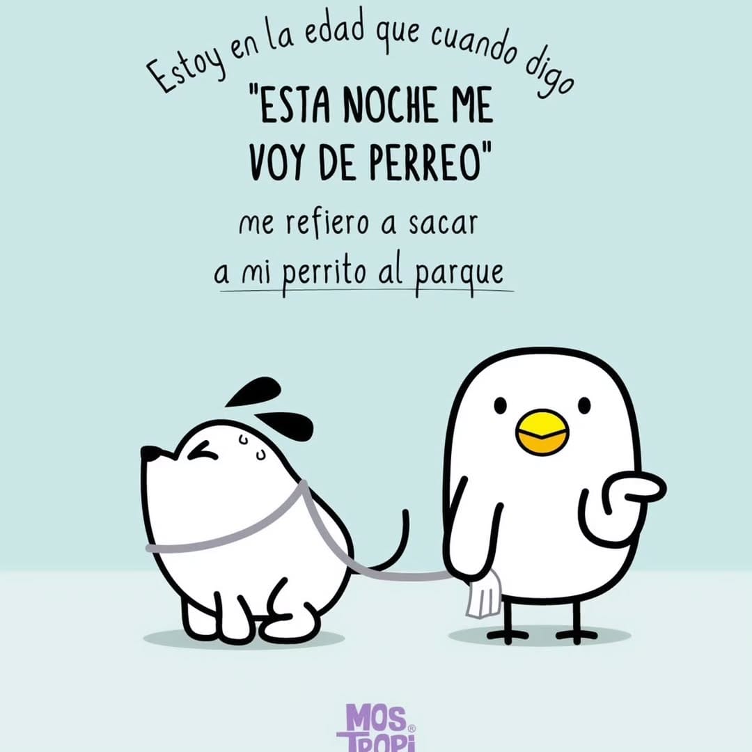 Post 7 by PAUSES Roperito Infantil on Instagram (image)