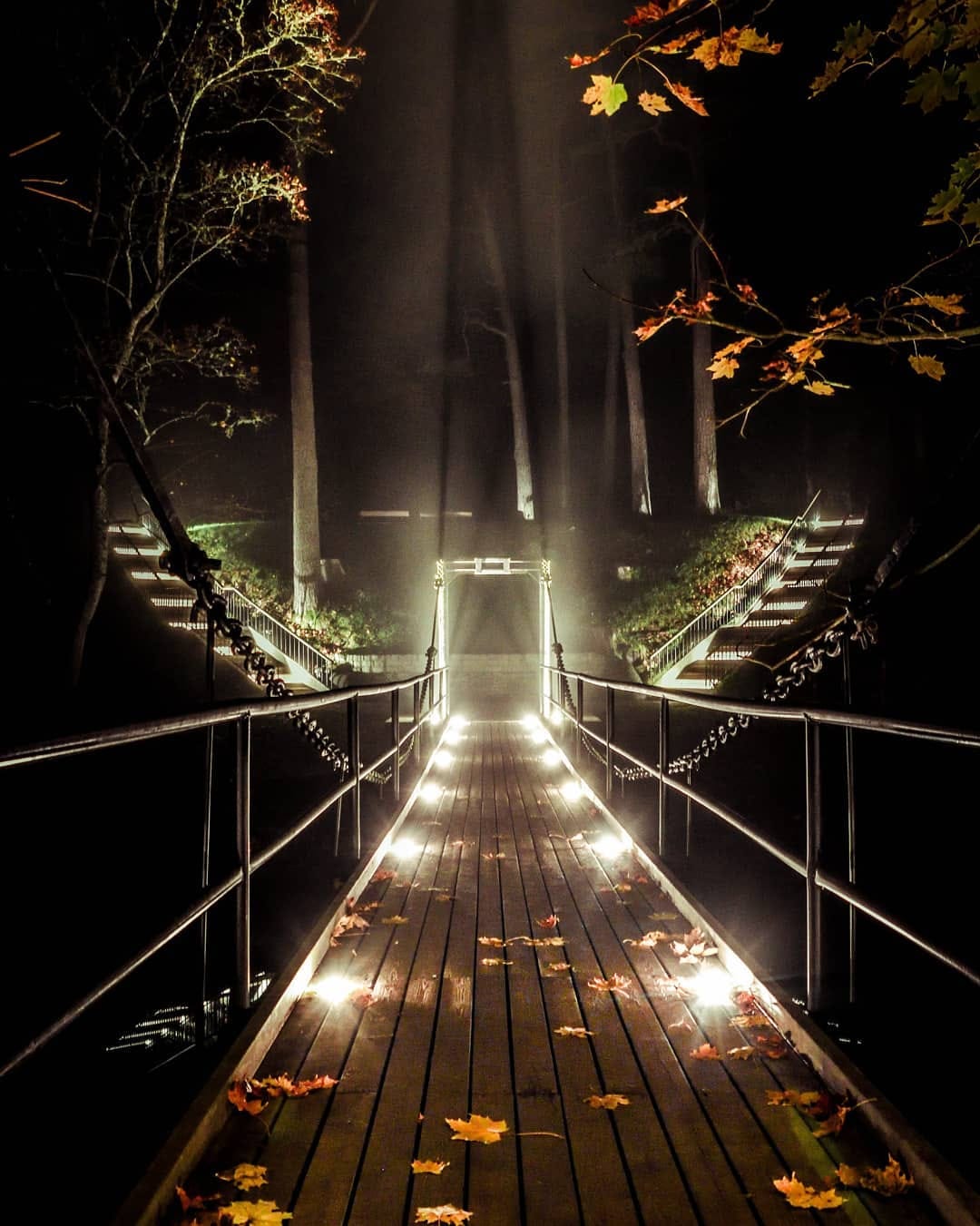 Post 10 by Tarvokuus on Instagram (image)