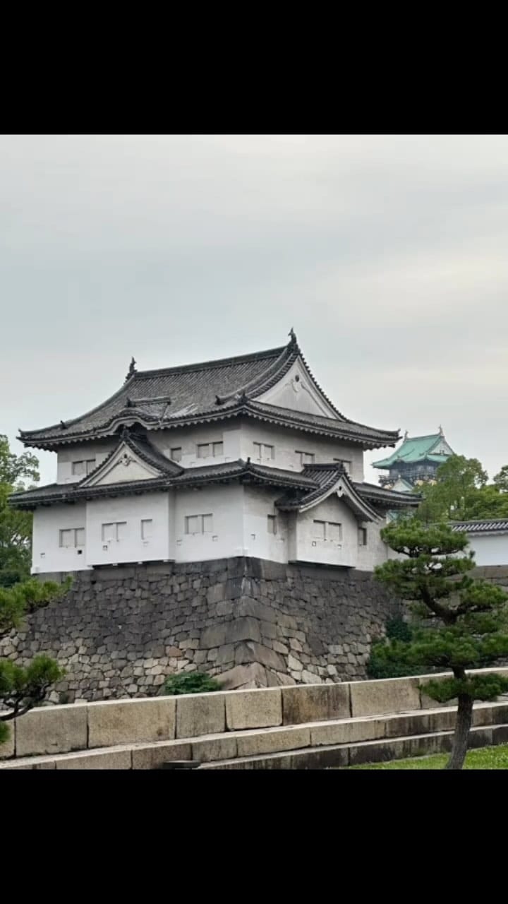 Post 3 by 田辺 雄三 on Instagram (video)