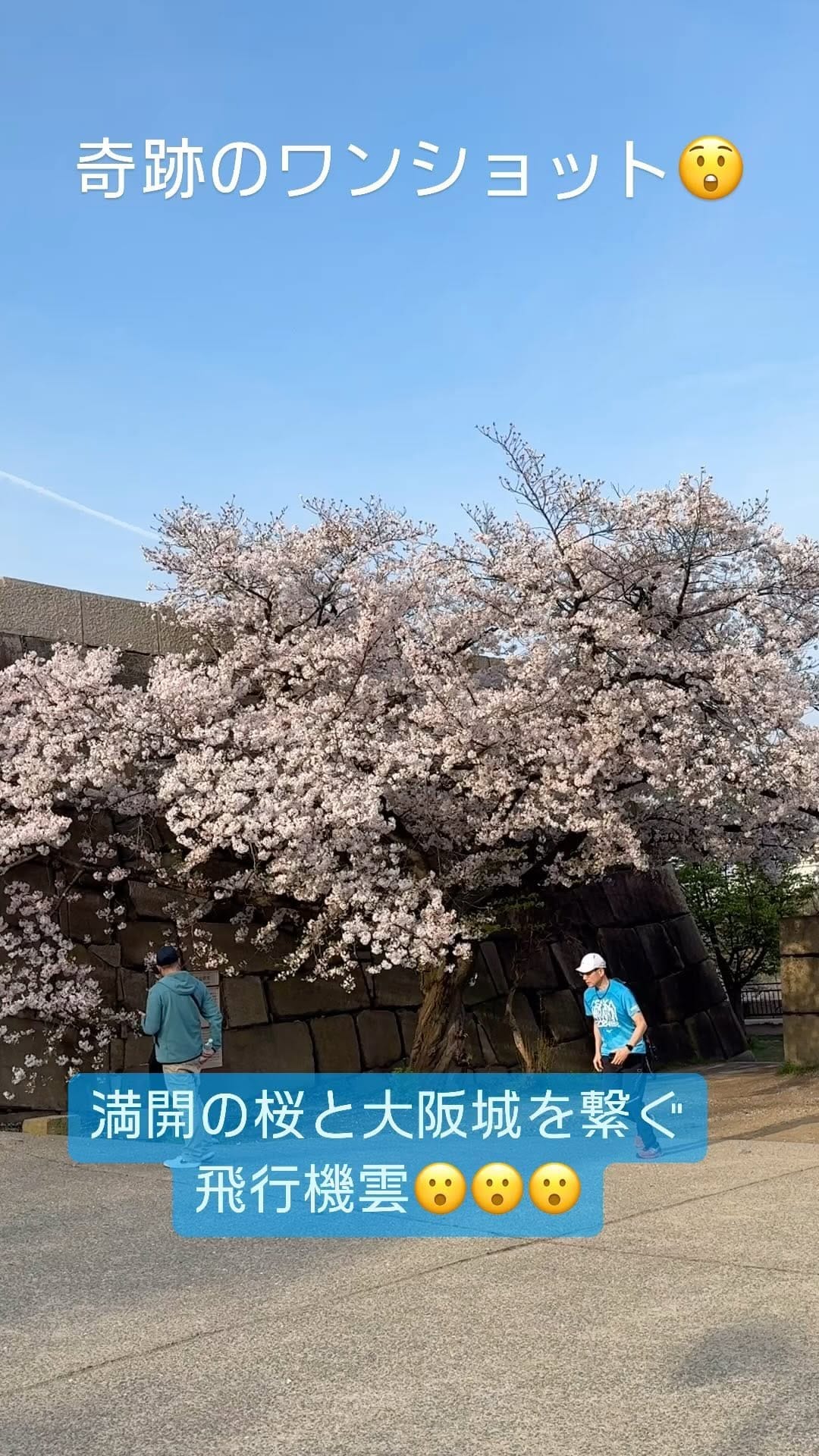 Post 1 by 田辺 雄三 on Instagram (video)