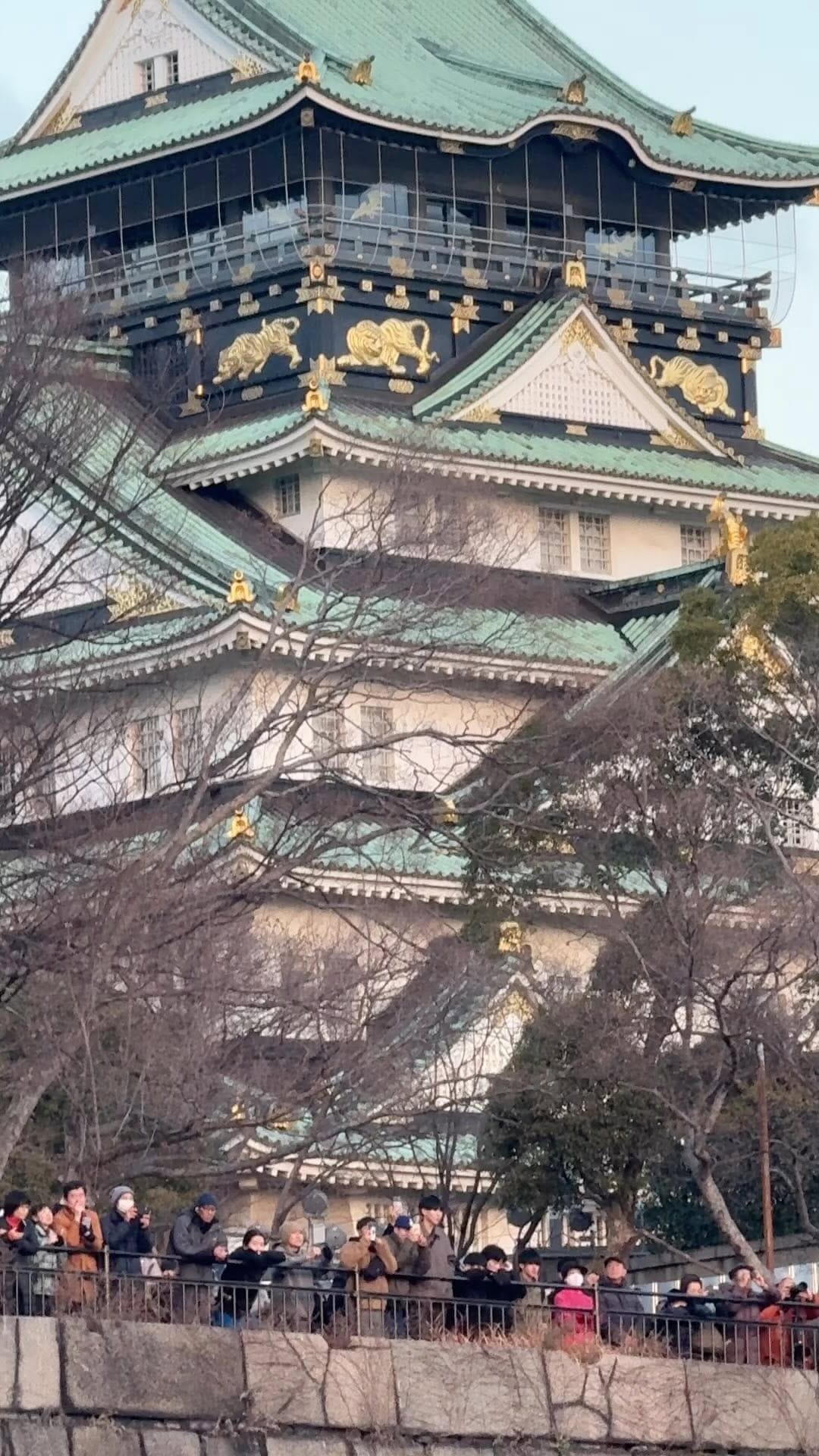Post 2 by 田辺 雄三 on Instagram (video)