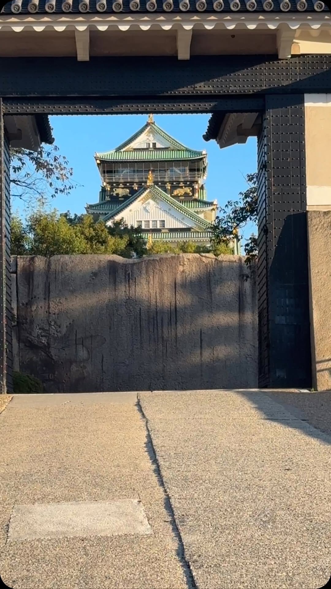 Post 5 by 田辺 雄三 on Instagram (video)