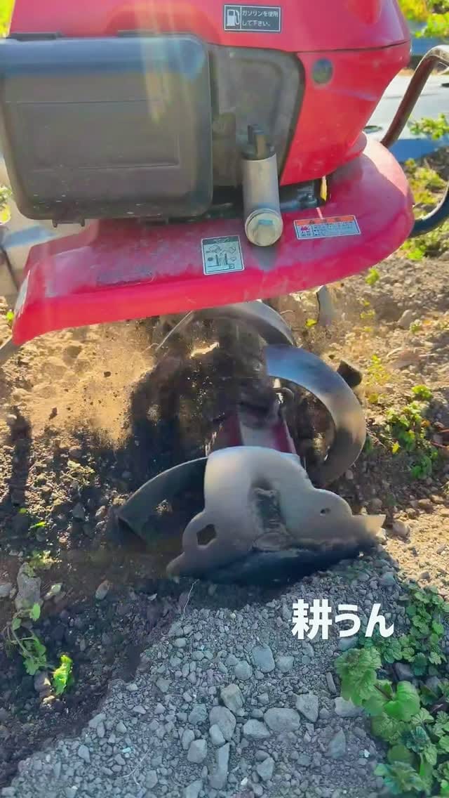 Post 5 by にしざわ たかひと 『家庭菜園 農育チャレンジャー 野菜づくり』 on Instagram (video)