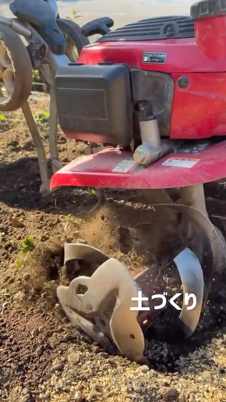 Post 4 by にしざわ たかひと 『家庭菜園 農育チャレンジャー 野菜づくり』 on Instagram (video)