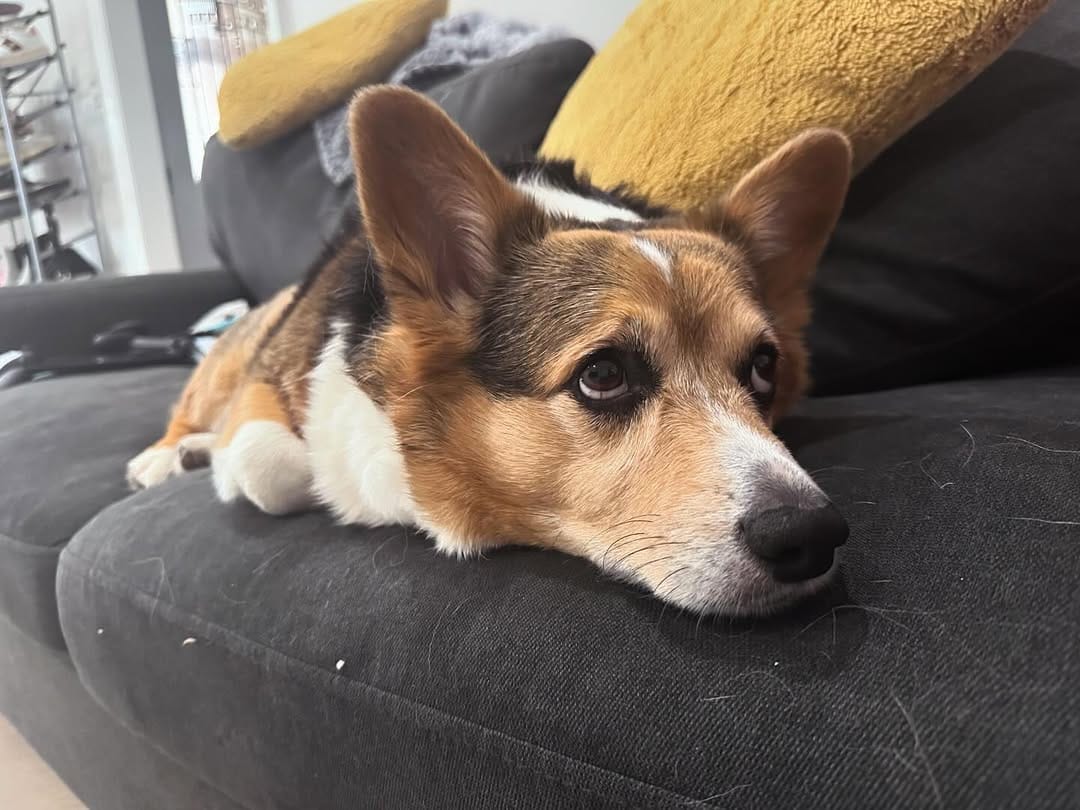 Post 1 by Maggie T. on Instagram (image)
