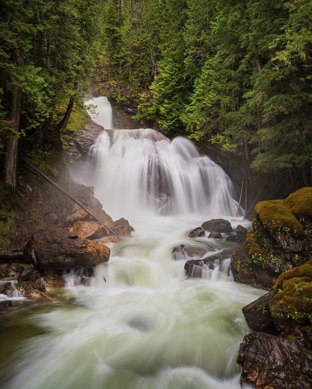 Post 10 by 𝓓𝓪𝓷 𝓒𝓸𝓻𝓶𝓲𝓮𝓻 on Instagram (image)