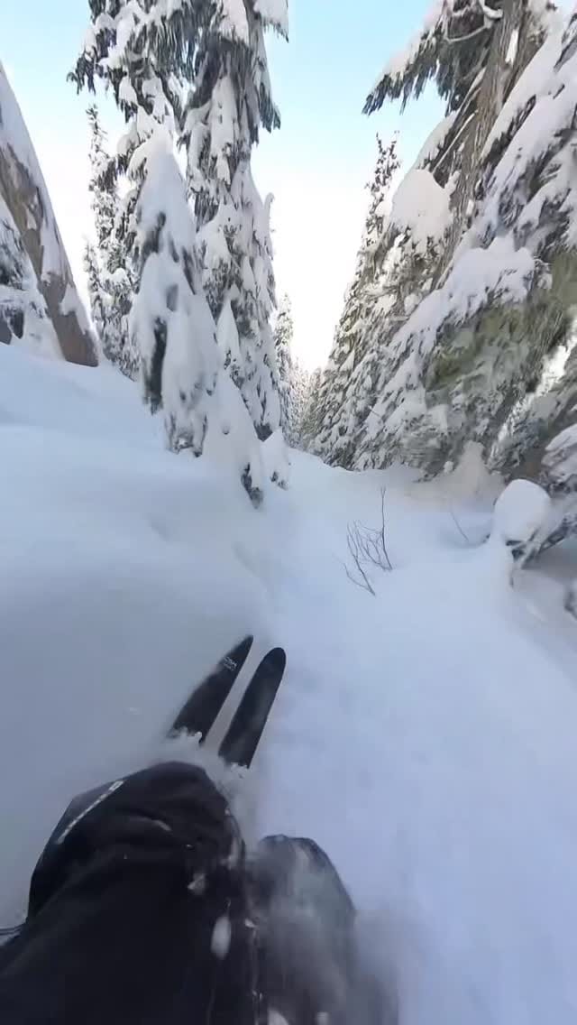 Post 3 by •DEAN BERCOVITCH• on Instagram (video)