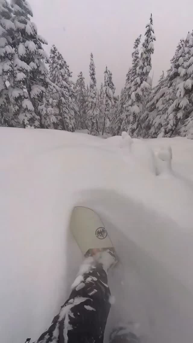 Post 4 by •DEAN BERCOVITCH• on Instagram (video)