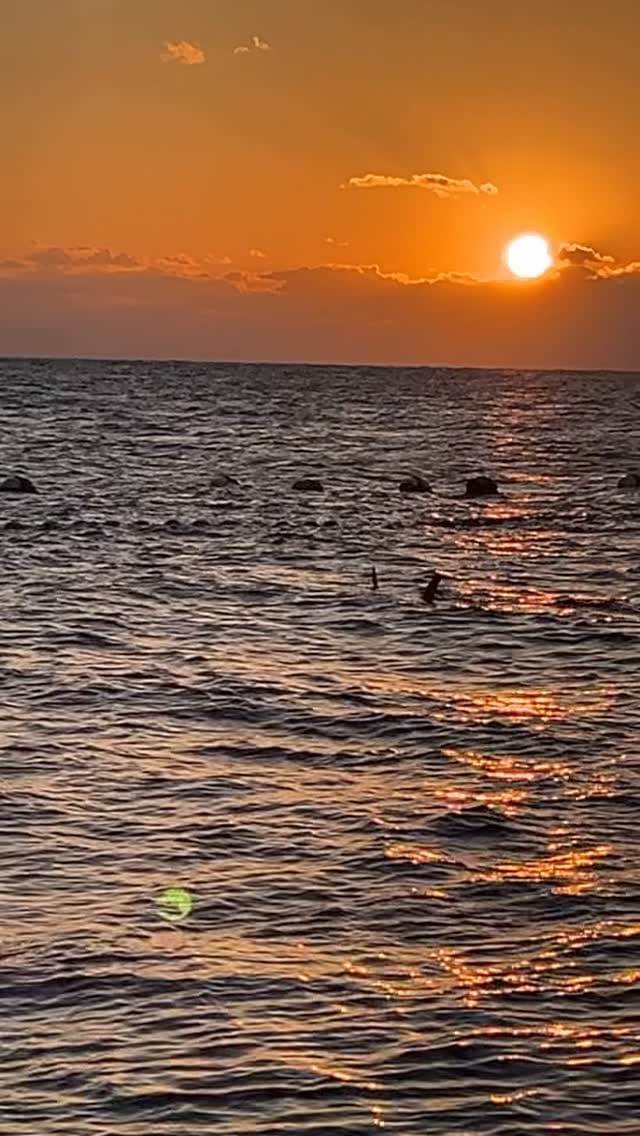 Post 9 by 高知県立足摺海洋館　SATOUMI on Instagram (video)