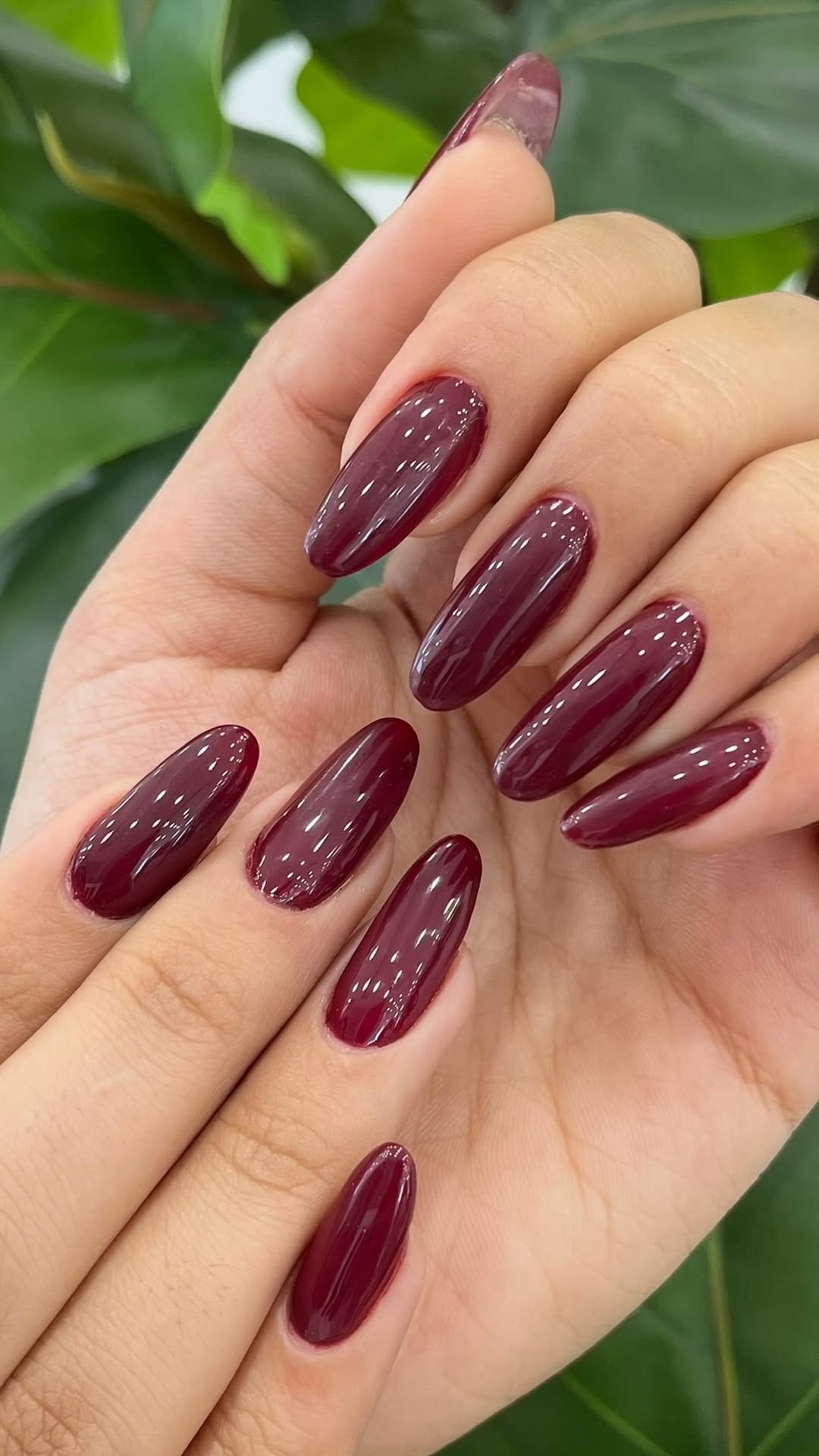 Post 7 by شانا بیوتی | Shana Beauty on Instagram (video)