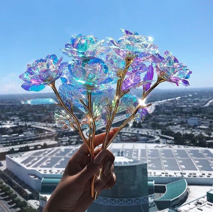 Post 5 by Eva La Bourne on Instagram (image)