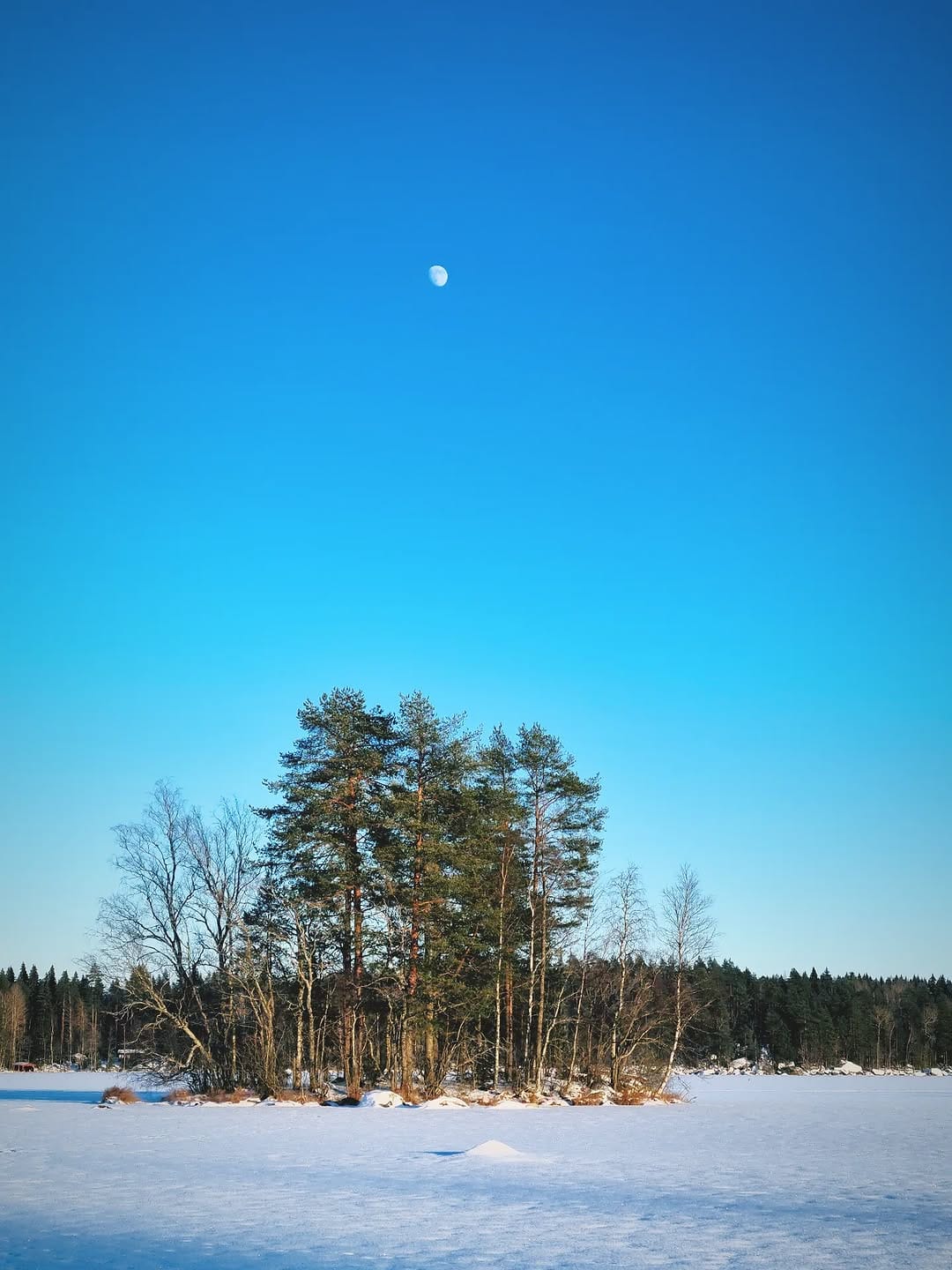 Post 5 by Olavi Joutsi on Instagram (image)