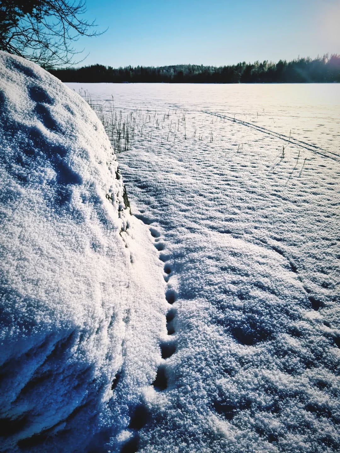 Post 1 by Olavi Joutsi on Instagram (image)