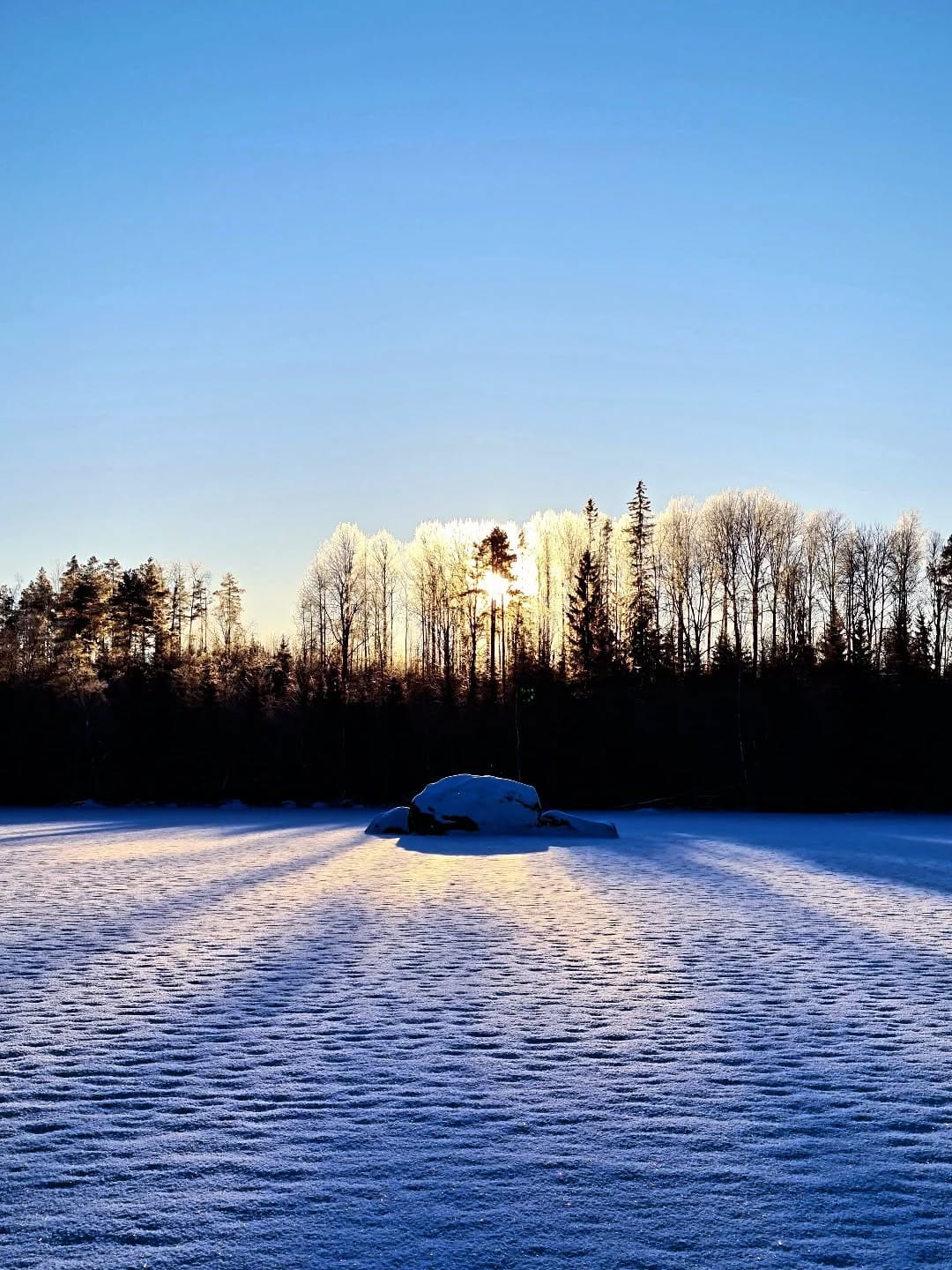 Post 6 by Olavi Joutsi on Instagram (image)