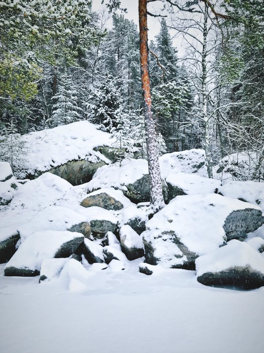 Post 8 by Olavi Joutsi on Instagram (image)