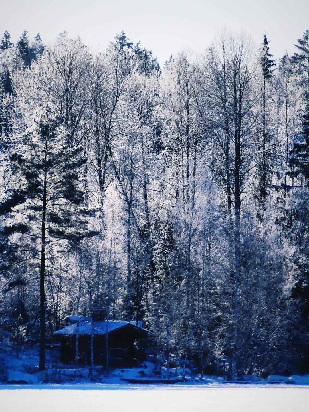 Post 7 by Olavi Joutsi on Instagram (image)