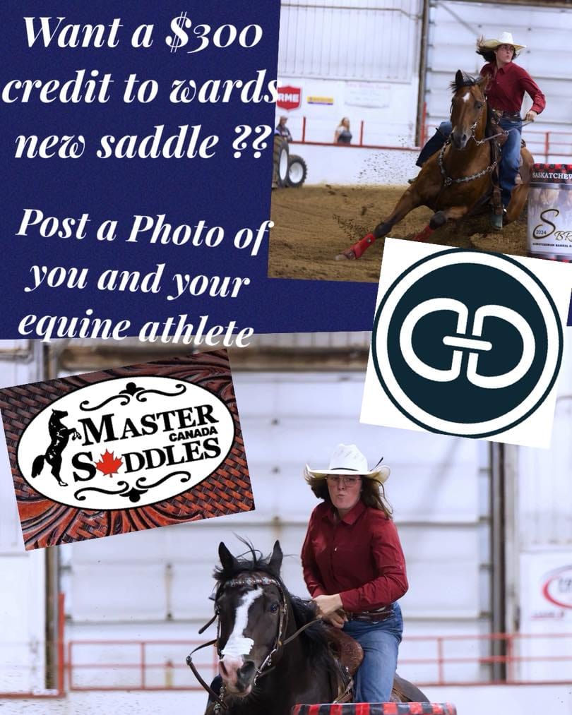 Post 2 by Master Saddles Canada on Instagram (image)