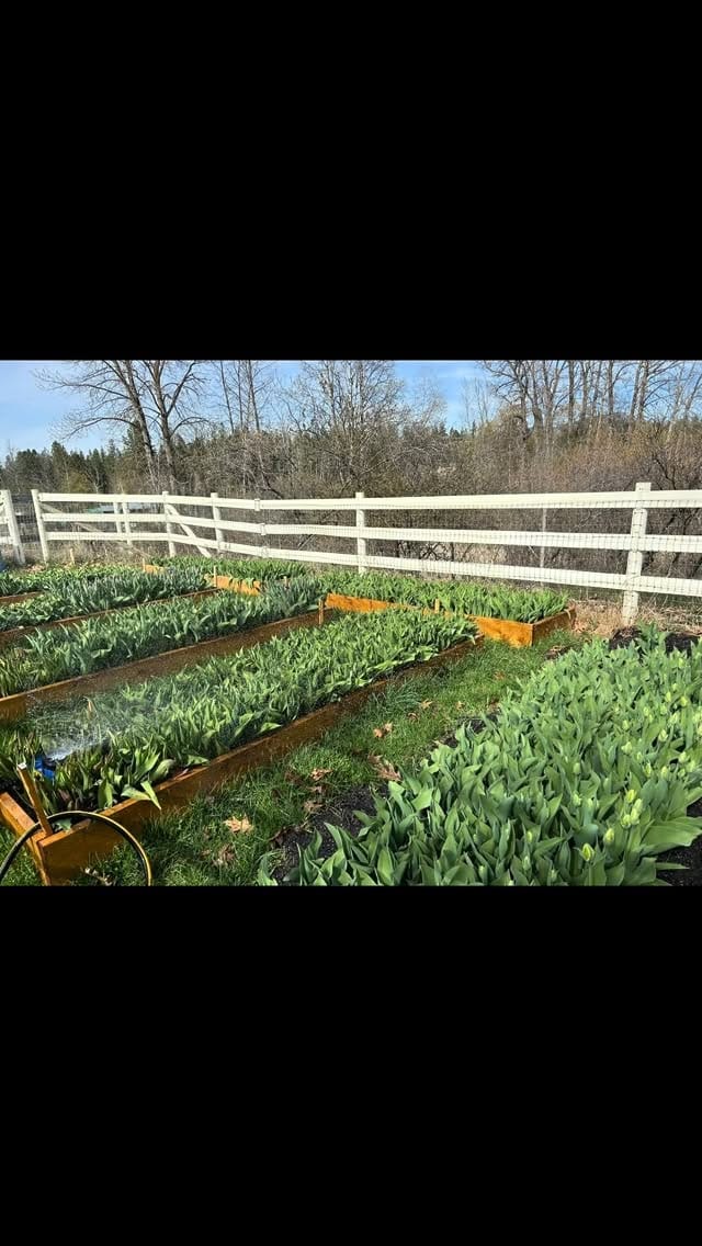 Post 5 by Flower Farm and Florist on Instagram (video)