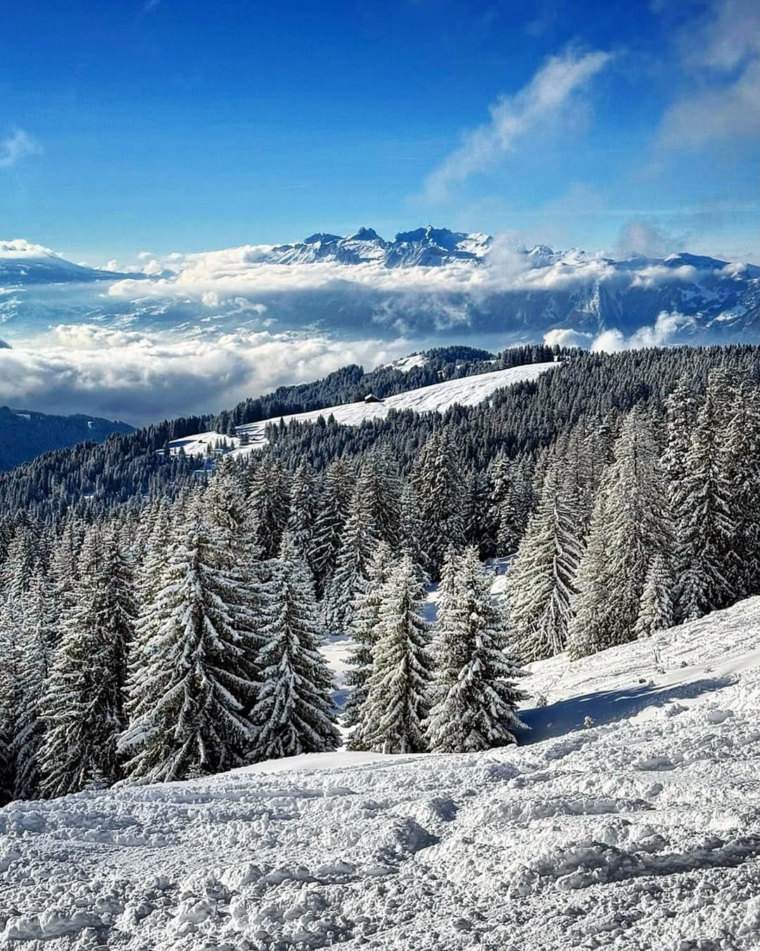 Post 5 by Outdoor*Adventure*Mountains on Instagram (image)
