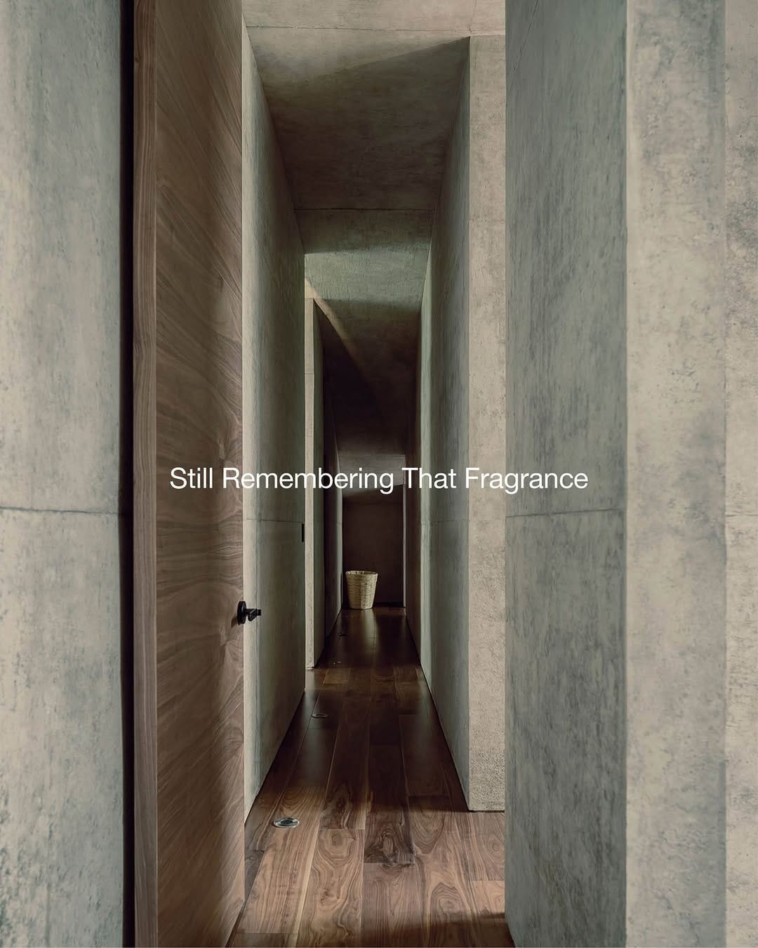 Post 8 by ZENOLOGY on Instagram (image)