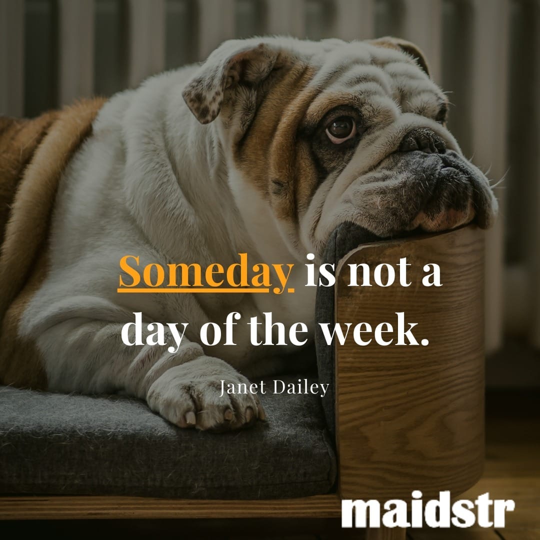 Post 1 by Maidstr on Instagram (image)