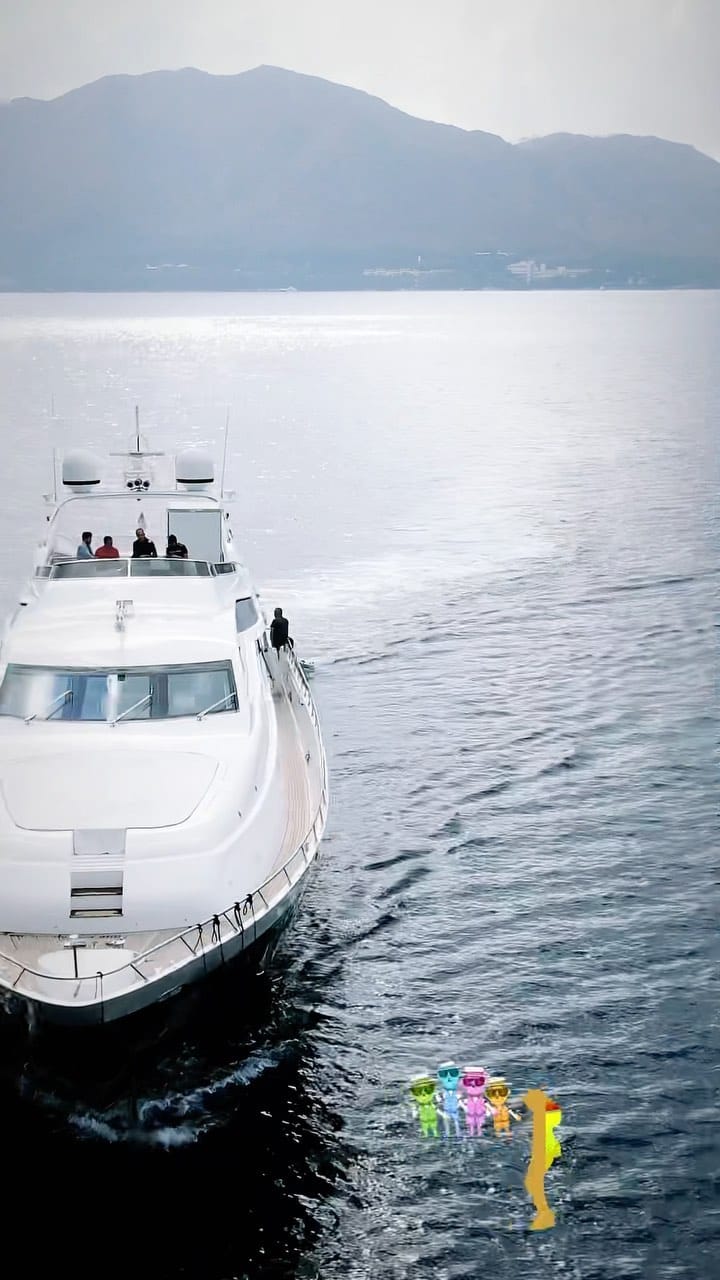 Post 7 by Blue Pearl Yachting on Instagram (video)