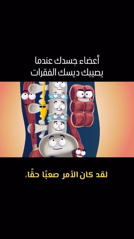 Post 2 by Bassem.Safwat on Instagram (video)
