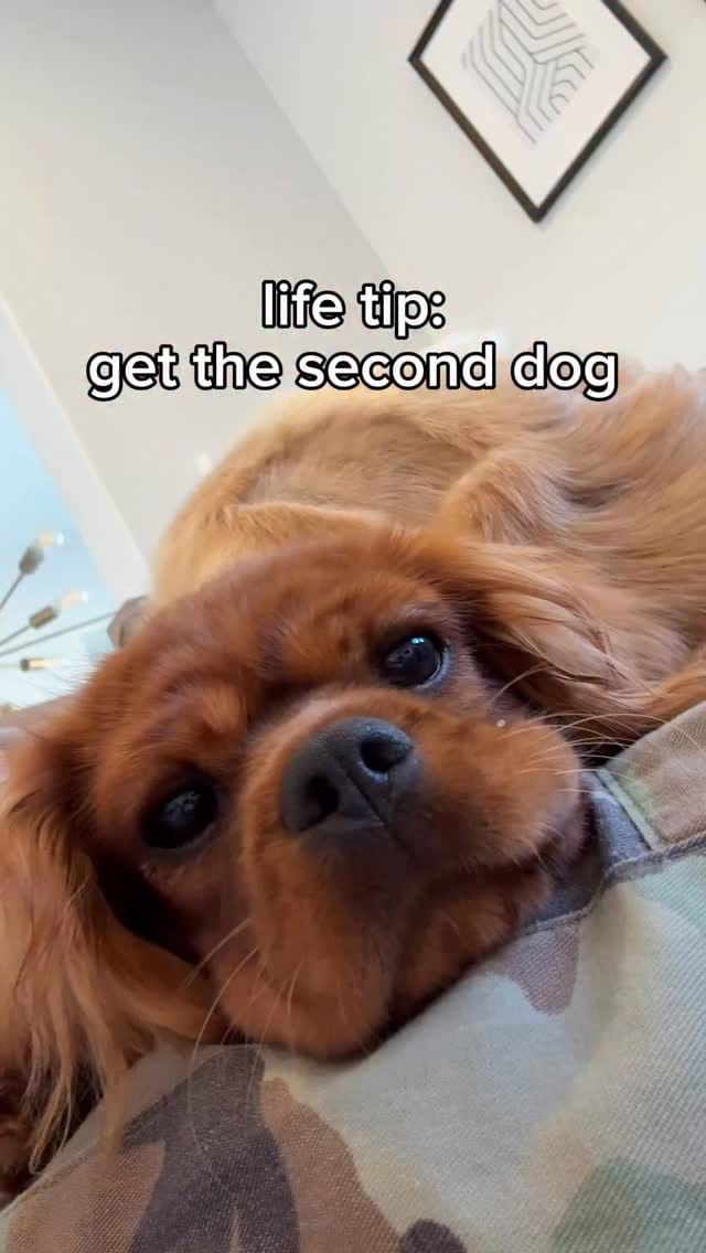 Post 3 by Angela Mahoney-Jones on Instagram (video)