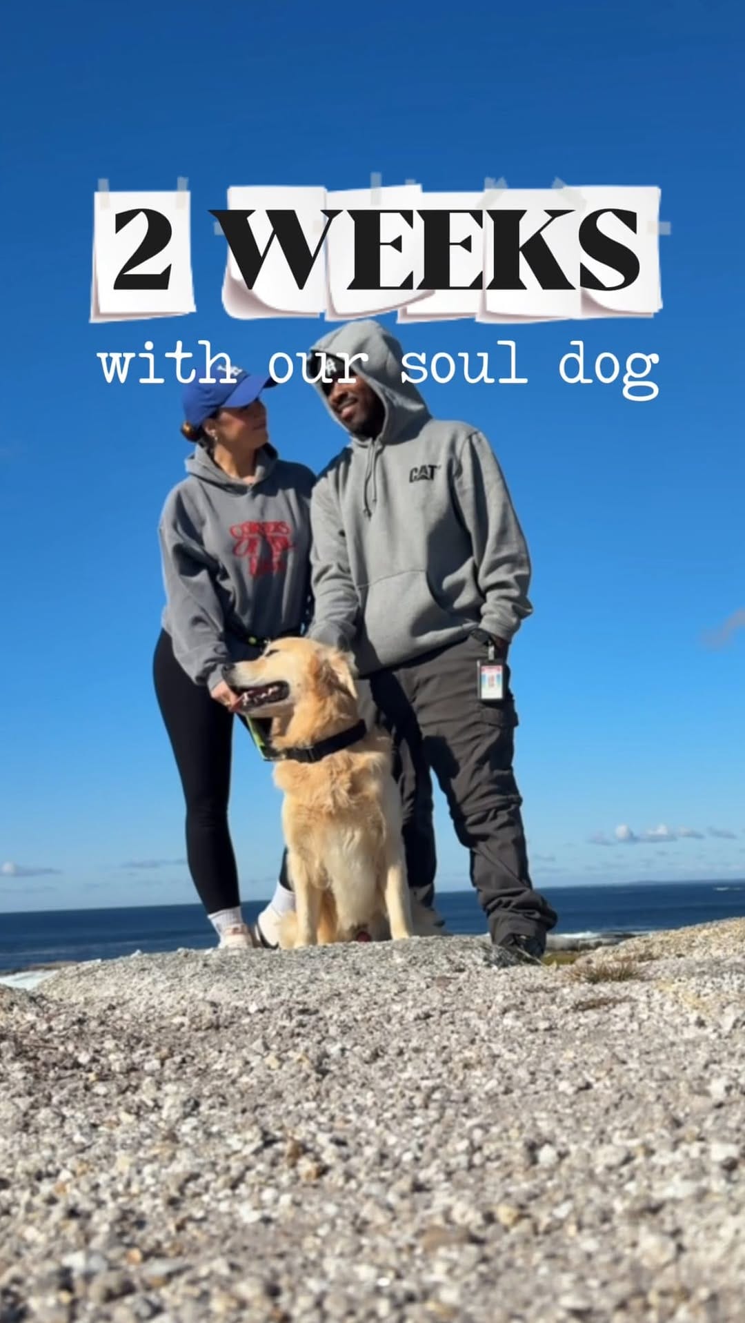 Post 7 by Angela Mahoney-Jones on Instagram (video)