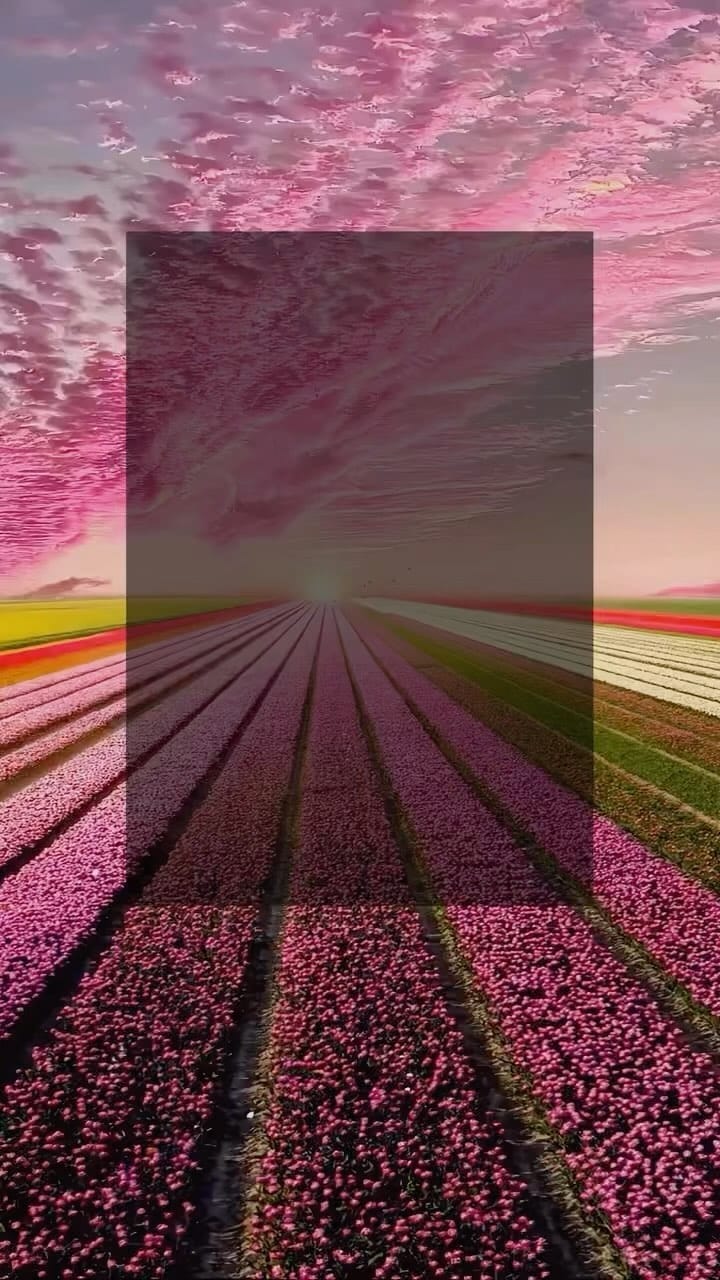 Post 2 by @themarketingdoctor on Instagram (video)