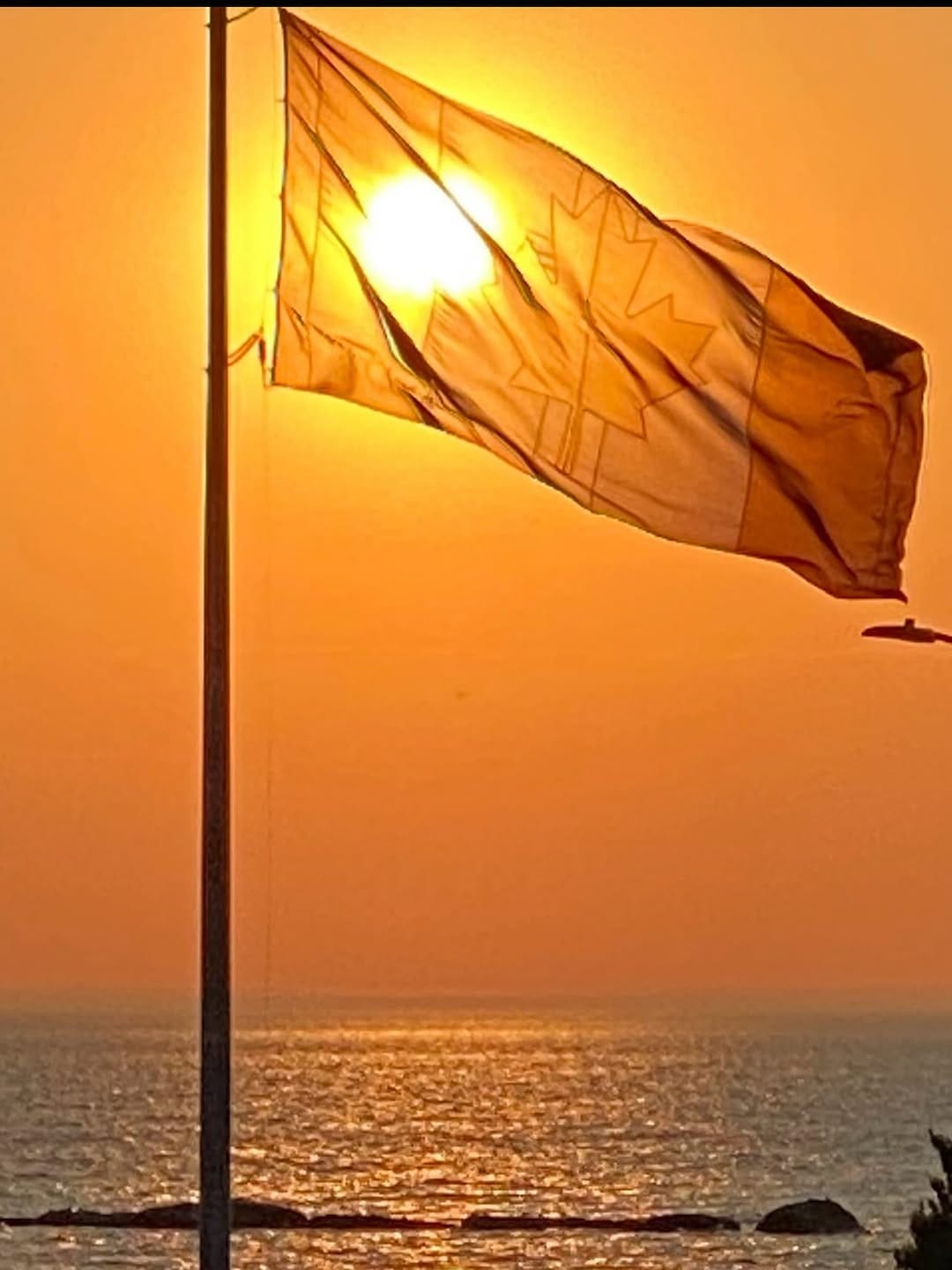 Post 6 by Frank Parhizgar on Instagram (image)
