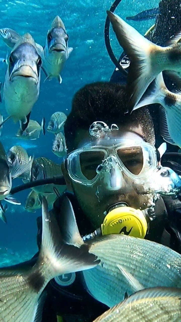 Post 4 by Cansoy Gurocak on Instagram (video)