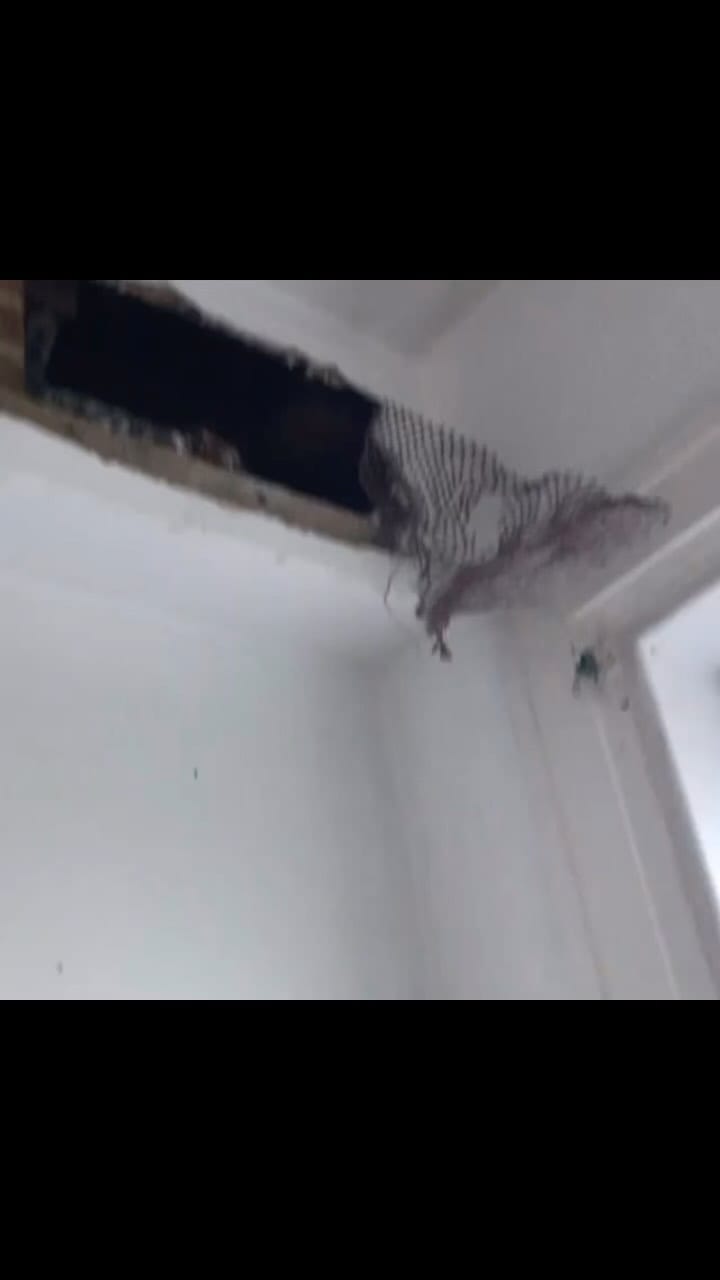 Post 6 by Pat Walker on Instagram (video)