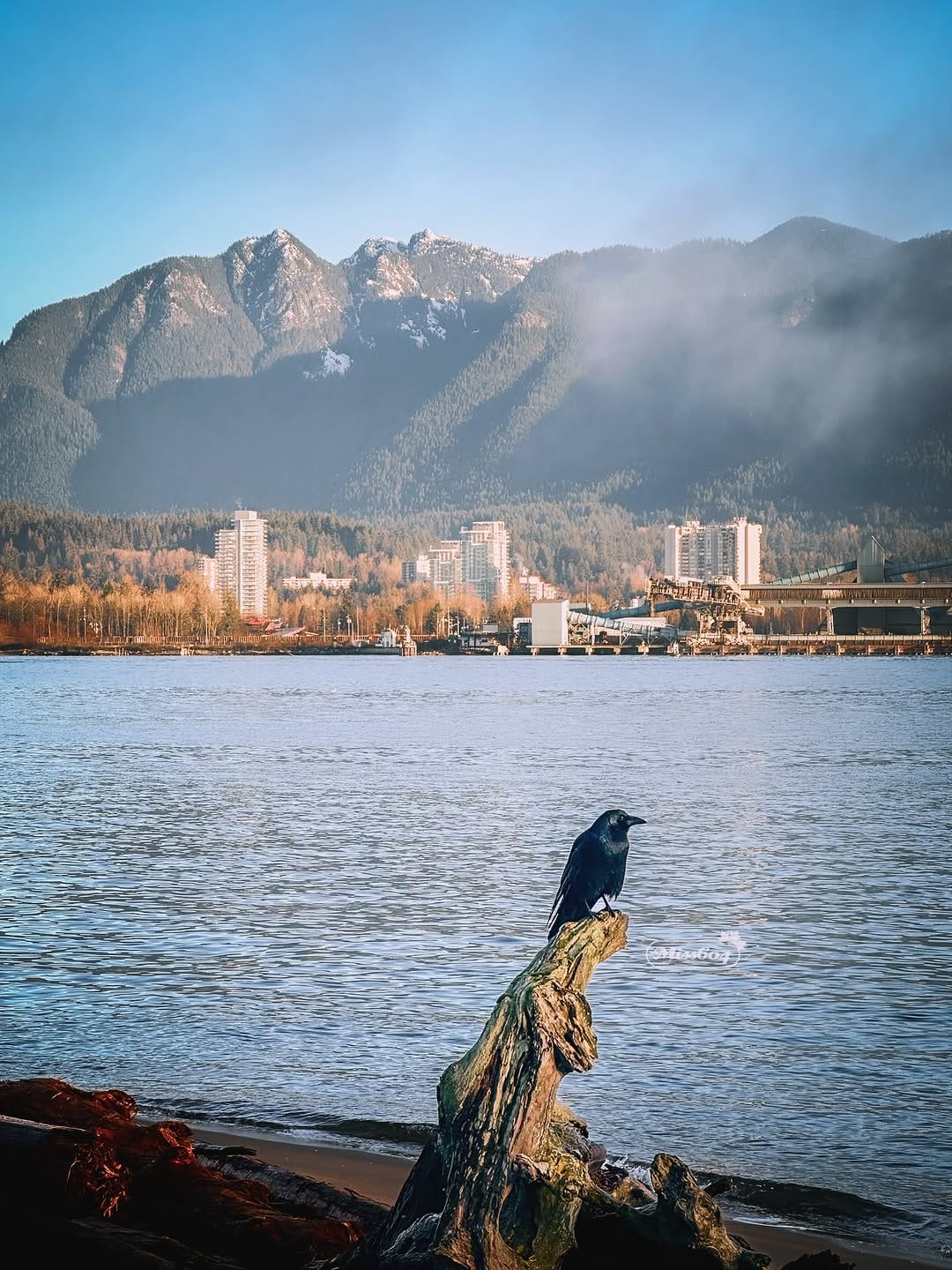 Post 3 by Rebecca Bollwitt on Instagram (carousel)