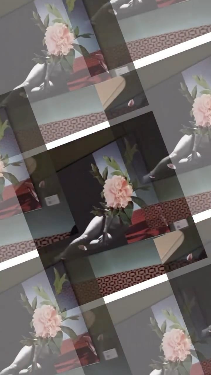 Post 5 by Erin McGean on Instagram (video)