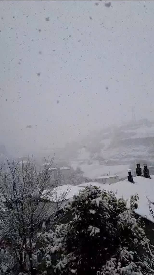 Post 9 by 𝓔.𝓣𝓮𝓴𝓲𝓷 on Instagram (video)
